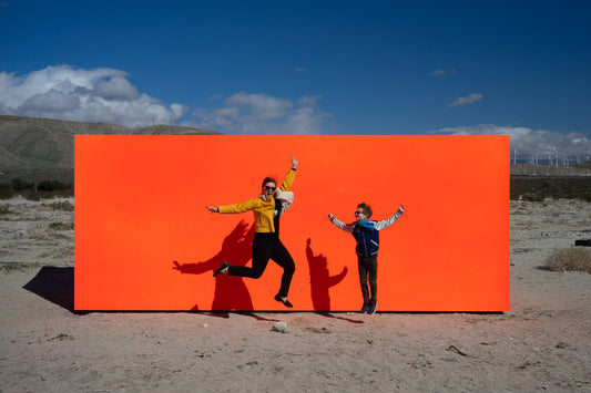 Art Adventures in Palm Springs: Desert X19