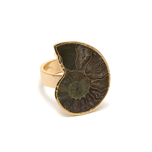 ammonite fossil ring