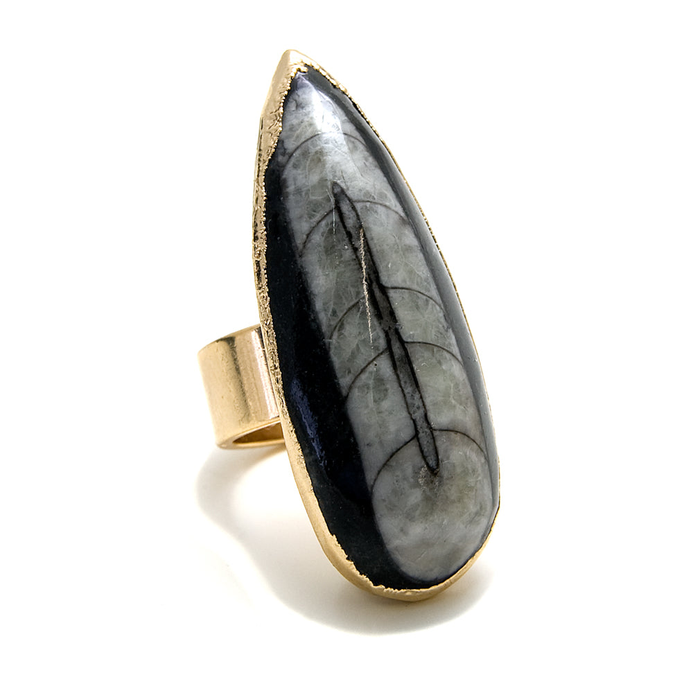 orthoceras fossil ring